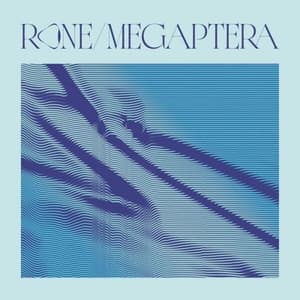 Megaptera (Original Soundtrack from the Movie the Musician and the Whale)