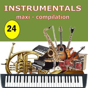 Instrumentals Maxi-Compilation 24