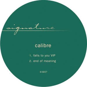 falls to you VIP / end of meaning