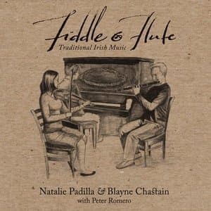 Fiddle and Flute: Irish Traditional Music