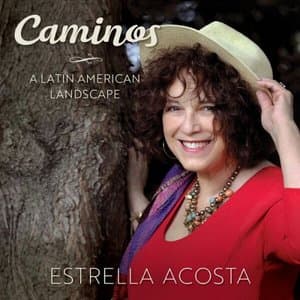 Caminos - A Latin American Landscape