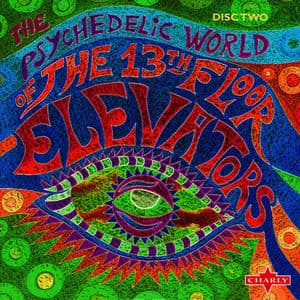 The Psychedelic World Of The 13th Floor Elevators CD2