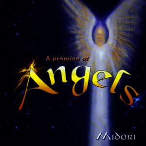 A Promise Of Angels