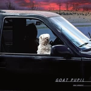 Goat Pupil