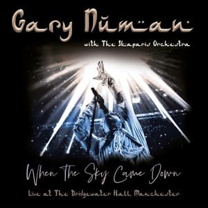 When The Sky Came Down (Live At The Bridgewater Hall, Manchester)