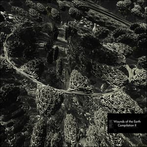 Wounds of the Earth Compilation II