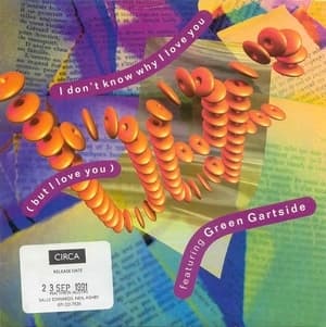 I Don't Know Why I Love You (but I Love You)