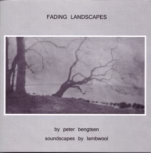 Fading Landscapes