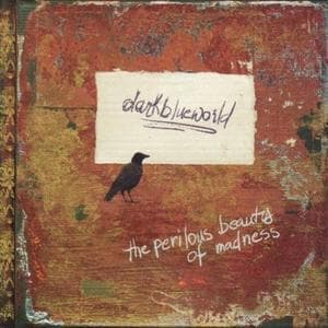 The Perilous Beauty Of Madness