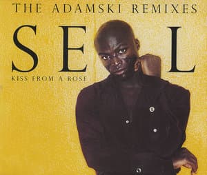 Kiss From A Rose (the Adamski Remixes)
