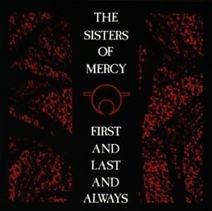 First And Last And Always(Original Album Series)