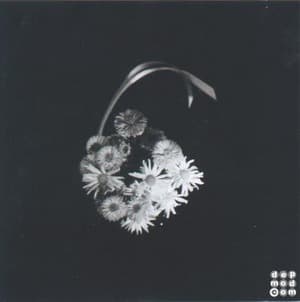 X2 (CD2: Sex - B Sides)