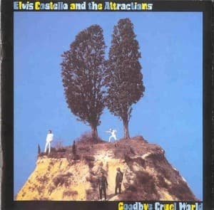 Goodbye Cruel World(2007 - Hip-O Records Universal)