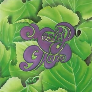 Live At Indigo Ranch