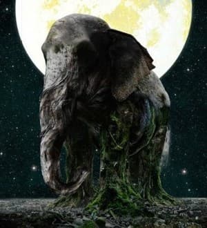 Ascension (First Press Release)