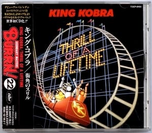 Thrill Of A Lifetime