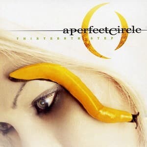 Thirteenth Step (japan Edition)