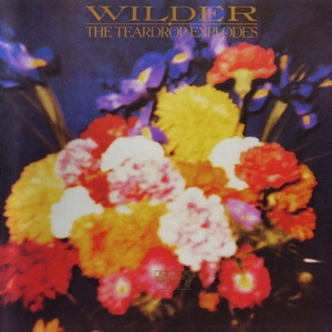 Wilder