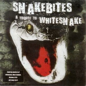 Tribute To Whitesnake