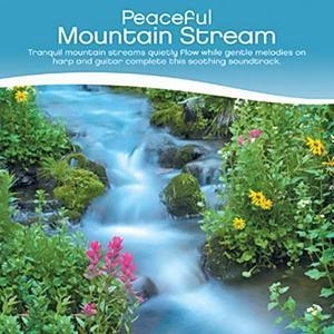 Peaceful Mountain Stream