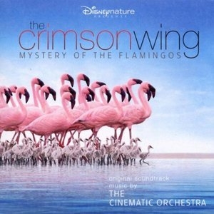 The Crimson Wing ~ Mystery Of The Flamingos