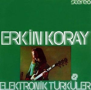 Elektronik Turkuler