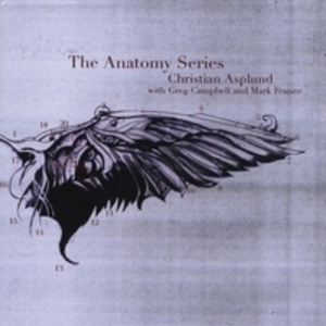 The Anatomy Series