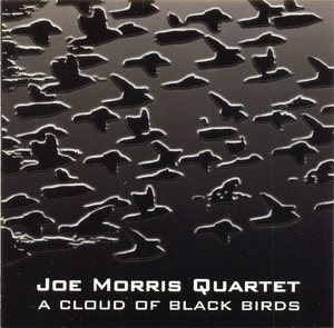 A Cloud Of Black Birds