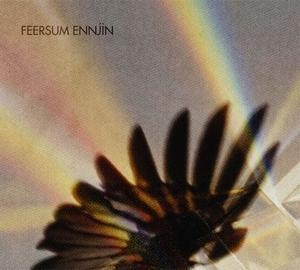 Feersum Ennjin