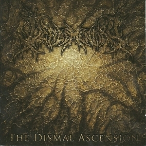 The Dismal Ascension