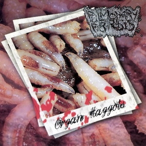 Organ Maggots