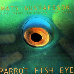 Parrot Fish Eye