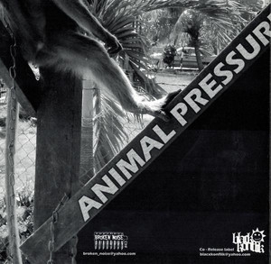 Animal In Me & Pressure Of Mind