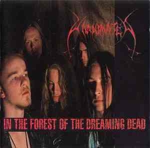 In The Forest Of The Dreaming Dead