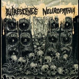 Neuropathia Vs Putrescence