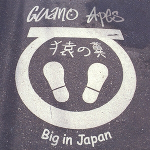 Big In Japan