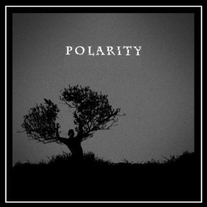 Polarity (2CD)