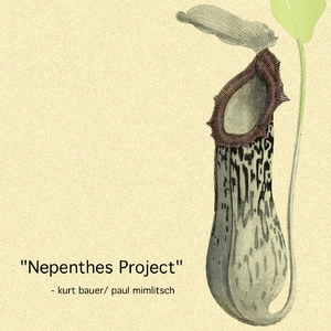 Paul Mimlitsch - Nepenthes Project
