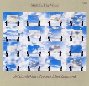 Shift In The Wind