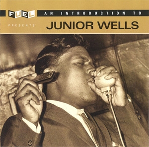 An Introduction To Junior Wells