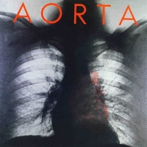 Aorta