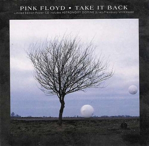 Take It Back (Vinyl)