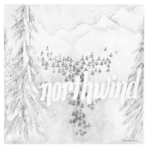 Northwind (Woods of Zandor)