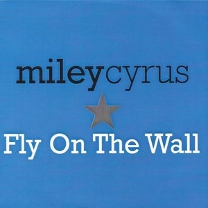 Fly On The Wall [CDS]