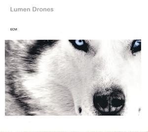 Lumen Drones