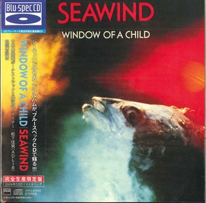 Window Of A Child