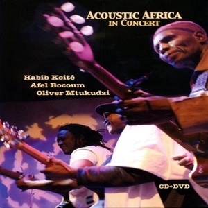 Acoustic Africa In Concert