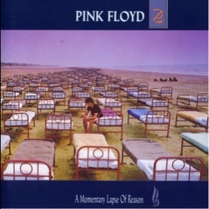 A Momentary Lapse Of Reason