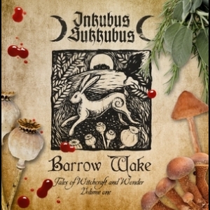 Barrow Wake Tales Of Witchcraft And Wonder Volume One