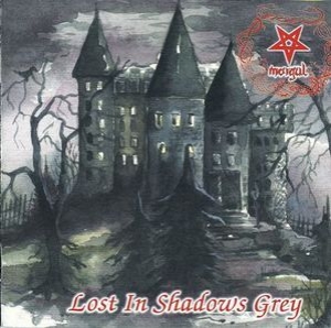 Lost In Shadows Grey